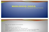 Biologia_osea[1] Oscar Cme