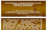 Criterios Jurisprudenciales Adriana Cabezut