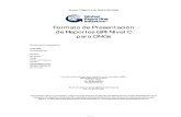 Reporte de Sostenibilidad CARE Perú 2008-2009