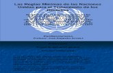 JOSE ALEJANDRO ARZOLA ISAAC Las Reglas Mínimas de las Naciones Unidas para el Tratamiento de los Reclusos.