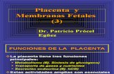 17 Placenta y Membranas Fetales (3)