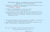 Flujo de Energia Amb Terres y Acuatic