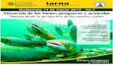 Situación de los bienes pesqueros y acuicolas de Guatemala: sintesis desde las cuentas verdes.