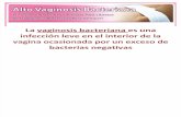 Alto Vaginosis Bacterial presentación 02