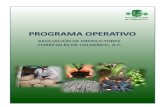 Programa operativo 2011 15 APFC