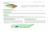 Conceptos PAEG hidrografía y biogeografía