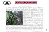 Ayahuasca, Experiencias