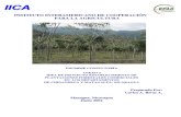 Idea Proyecto Plantaciones Forest Ales Comerciales_IICA 2004