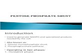 Pentose Phosphate Shunt Presentation
