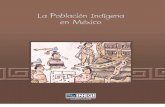La población indígena de Mexico