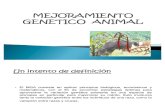 MEJORAMIENTO GENETICO  ANIMAL2