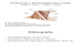 Anatomia y Semiologia Del Cuello