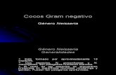 Tema 5. Cocos Gram Negativos Aerobios - Neisseria Dora