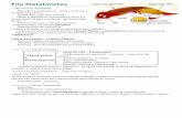 Resumo dos Filos -  platelmintos, nematelmintos, equinodermos, artrópode, molusco, anelídeo