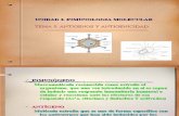 Organización antómica del sistema inmunitario. tema 5. Antigenos y Antigenicidad