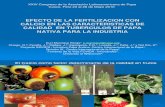 Efecto de la fertilización con calcio en las características de calidad en tubérculos de papa nativa para la industria (PowerPoint)