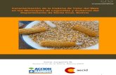 Estudio de la cadena de valor del maíz en el Chaco Boliviano (2009)