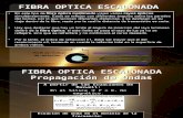 6609605 Ppt Fibra Optica 2