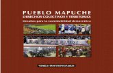 Pueblo mapuche. Derechos colectivos y territorio