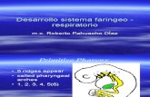 Desarrollo Sistema Faringeo - Respiratorio