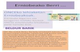Erniobeako berri (3