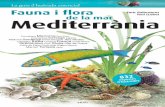 Fauna i flora de la mar Mediterrània