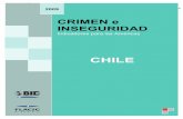 Crimen e inseguridad chile