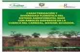 Caracterizacion y diversidad floristica del sistema agroforestal maíz con arboles dispersos en la cu