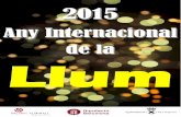 2015, Any Internacional de la Llum