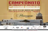 Campeonato de Canarias de Baloncesto 2ª División Masculina 2015