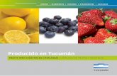 Índice de empresas de Frutas y Vegetales - IDEP Tucumán