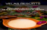 Newsletter #4 | Velas Resorts | ES