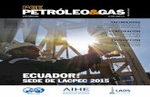 Revista PGE Petróleo & Gas Junio 2015