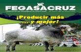 Revista Fegasacruz Mayo 2015