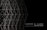 Andres M. Nunez Portfolio