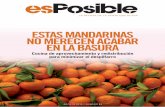 revista esPosible agosto 2015, nº 53. Estas mandarinas no merecen acabar en la basura.