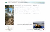 Ficha Turismo Científico 5 El bosque nativo del pacifico sur sebastian teillier