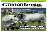 Revista de la Ganadería Norveracruzana No. 3