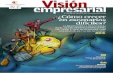 Revista Visión Empresarial Agosto - 114