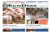 Ecodias 551