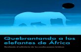 Quebrantando a los elefantes de África