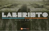 Laberinto | Boletín Web