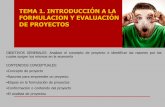 Tema 1 introducción a la formulación y evaluación de proyectos (2)