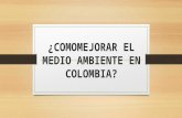 Como mejorar el medio ambiente en colombia loren dlrs