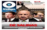 Reporte Indigo: EL PODER DE SALINAS 17 Noviembre 2015
