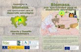 Folleto Divulgativo Biomasa