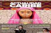 Revista actualidad caribe