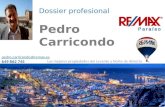 Dossier profesional RE/MAX Pedro Carricondo