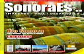 Revista SonoraEs…141-Dic 2015