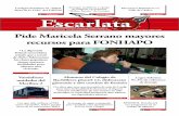 El Escarlata N°97 Online